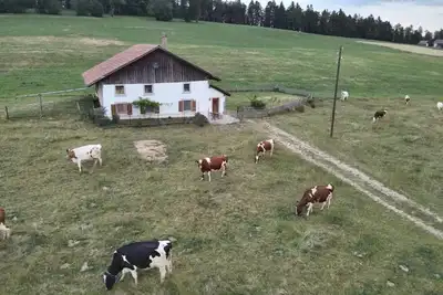 Image de Maison de vacances Le Noirmont pour 1 - 4 personnes avec 1 chambre à coucher - Ferme