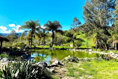Image de Beautiful, spacious gated ranch home on 12+ acres with big koi pond & pickleball