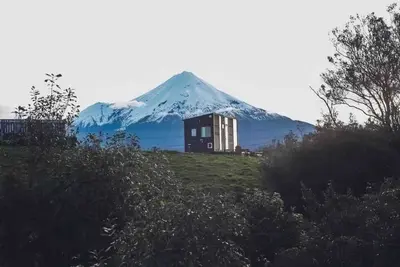 Image de Taranaki Creekside Kea by Tiny Away