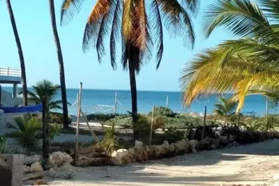 Image de Perros Paraiso/A Dogs Vacation Paradise