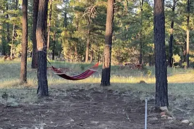 Image de \nCozy Cabin on 1. 25 acres