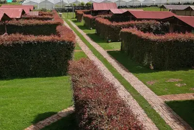 Image de Cabanas en Suesca Cundinamarca