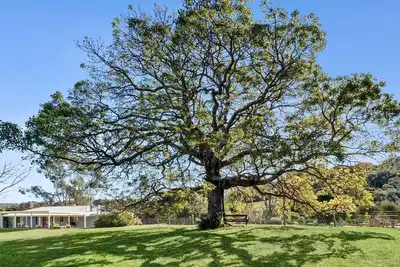 Image de Peaceful pet friendly home on acres