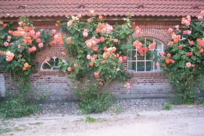 Image de Cozy wheelwright's house on the Hohenstein estate