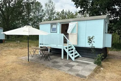 Image de Tiny house sea urchin