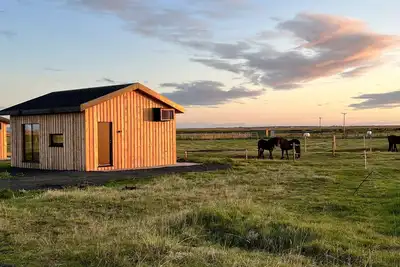 Image de Sleeping with the Horses