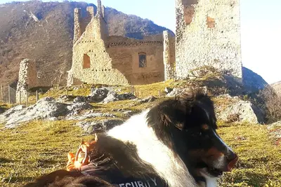 Image de Au Pied Du Chateau Miglos