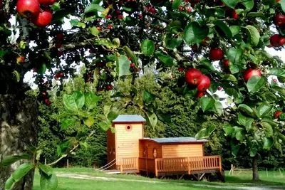 Image de Chalet en forêt avec terrasse, pêche, baignade, et proximité chemins de randonnée - Normandie