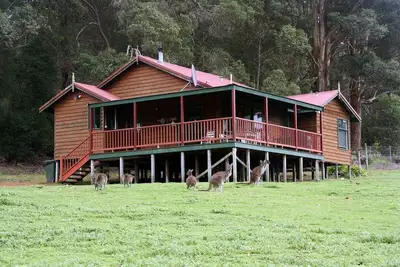 Image de Cabins Nestled in 170 Acres of old Growth Forest Near the Valley of the Giants