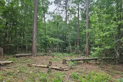 Image de Get Away in a private full 1acre lot in the Columbia County city of Appling.