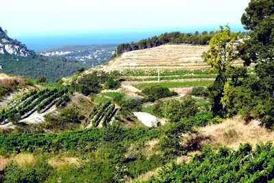 Image de Maison de Maître à Bandol, cakme et confort 4****