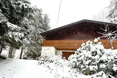 Image de Chalet Les Airelles ***