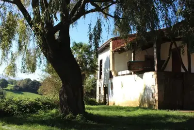 Image de La maison de saule - Cachée dans un endroit idéal