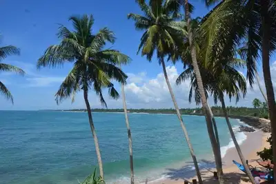 Image de Cool Beach Hotel #6