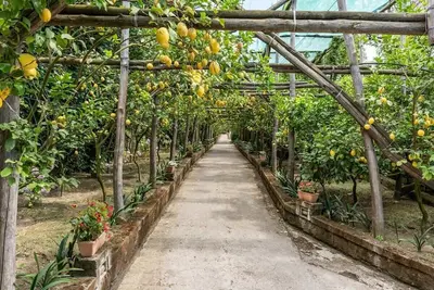Image de Romantic Garden-Contemporary Boutique Home Amidst Sorrentine Lemon Groves and Mediterranean Gardens
