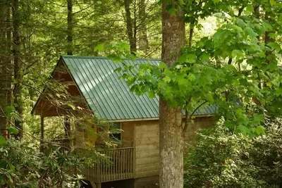 Image de Holly Nest: Cozy Cabin Getaway near Gatlinburg