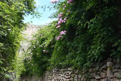 Image de Country House at Sacred Valley Urubamba