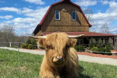 Image de Rustic Barn Cabin on Highland Cow Farm: Hiking Trails, Hot Tub and Pool Table