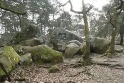 Image de Maison avec jardin, centre, proche forêt