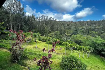 Image de Forest Views, Acreage, Fruit Trees, Beach~5m drive
