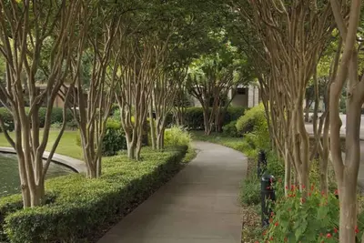 Safe neighborhood shared amenities, very plush area, bbq by pool.