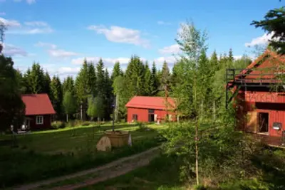 Image de Holiday accommodation in the middle of the forest in an absolutely secluded location