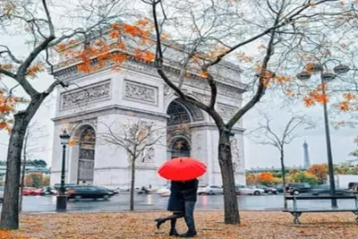 Image de 200 M²  - A Unique & Enriching Experience At Rue Boccador -Champs Elysees -3 Bed