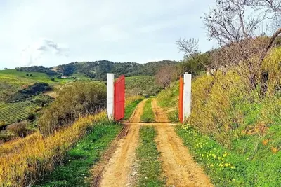 Image de Tenuta Balabaia: DaimyĹŤ Suite
