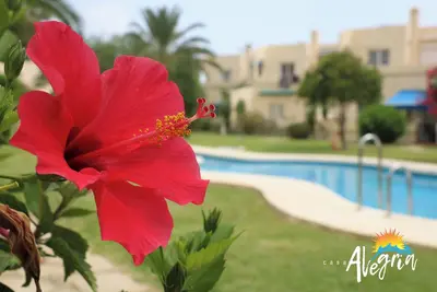Image de Captivating 2-Bed Beachside Apartment in Mojacar