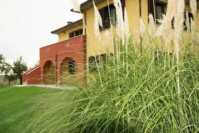 Image de 1 bedroom apartment in tuscany