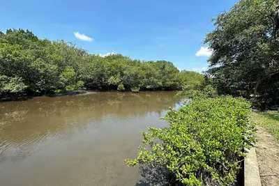 Image de Canal front - launch your kayaks or paddle boards from the backyard