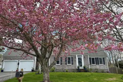 Image de South Yarmouth-Walk to Beach! Large 4 Bedroom/2. 5 Bath House-Central Ac