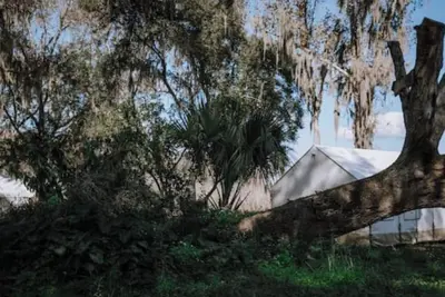 Image de Glamp in a Florida Orange Grove \"Citrus\" Tent