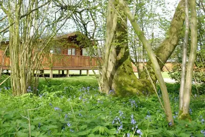Image de 2 bedroom, 5 star, award winning Scandinavian Lodge (sleeps 4)