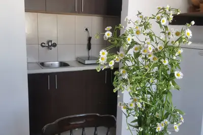 Image de Faris is a bright centrally located apartment with nice danube and city view