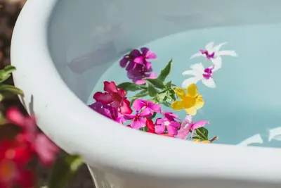 Image de Fare Ofe, Paradis Naturel  Séjour Relaxant Près de la Plage de Temae 🇵🇫