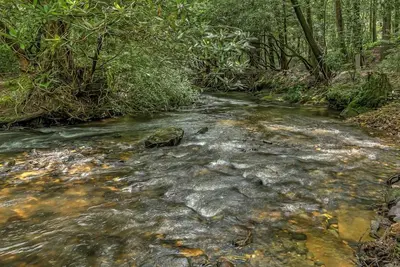 Image de Serenity Lodge on the Creek - Pet Friendly | Creek Front | Hot Tub