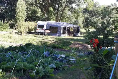 Image de hébergement insolite