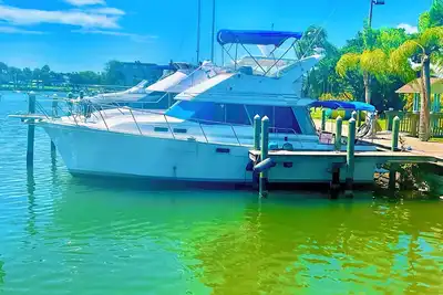 Image de Beachside Boat Hotel!