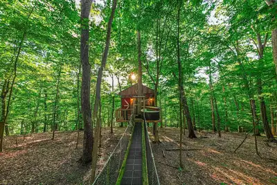 Image de Among the Trees - The Clubhouse