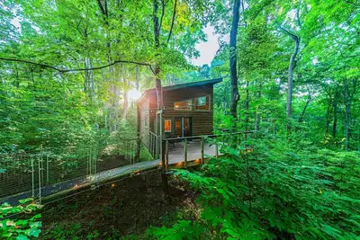 Image de Among the Trees - The Library