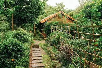 Image de Suoi Rao Ecolodge