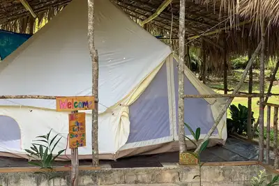 Eco-friendly yurt tucked beneath the trees with beach view and access.