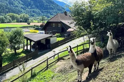 Image de Maison Lama by Interhome