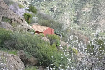 Image de Cave House El Pedregal (Tejeda)