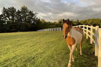 Image de Modern, Farmhouse Experience-From our Farm to your Table -family& pet friendly
