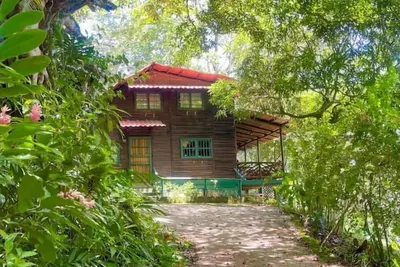 Image de Log cabin. Wooden soul dressed in jungle pet friendly