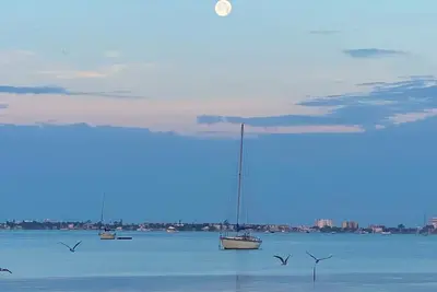 Image de Cozy 2 bedroom condo steps away from the bay & a quick drive to St. Pete Beach.