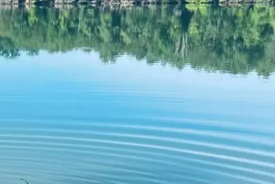 Image de DearBear Landing in the Smokies - Lakefront - Fish-Kayak - near Dollywood!