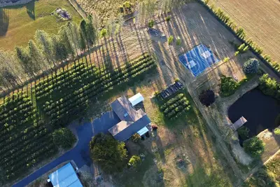 Image de Stay on a Blueberry Farm! Cute Farmhouse with Pickleball Court!